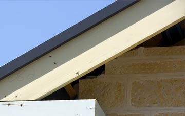 Skirbeck Quarter fascia repairs