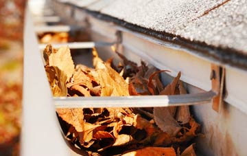 Skirbeck Quarter gutter cleaning companies