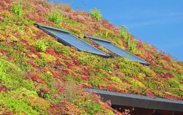 Skirbeck Quarter living roof systems