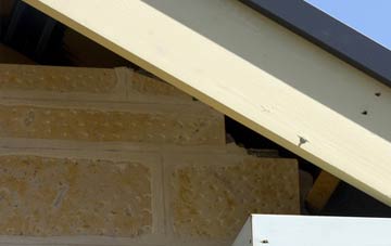 soffit repair Skirbeck Quarter