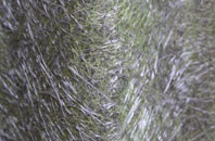 Skirbeck Quarter fibreglass roof work